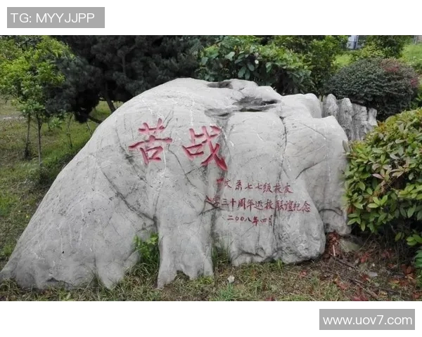 南京乒乓球队在世界杯预选赛中的奋斗与突破之路全景回顾